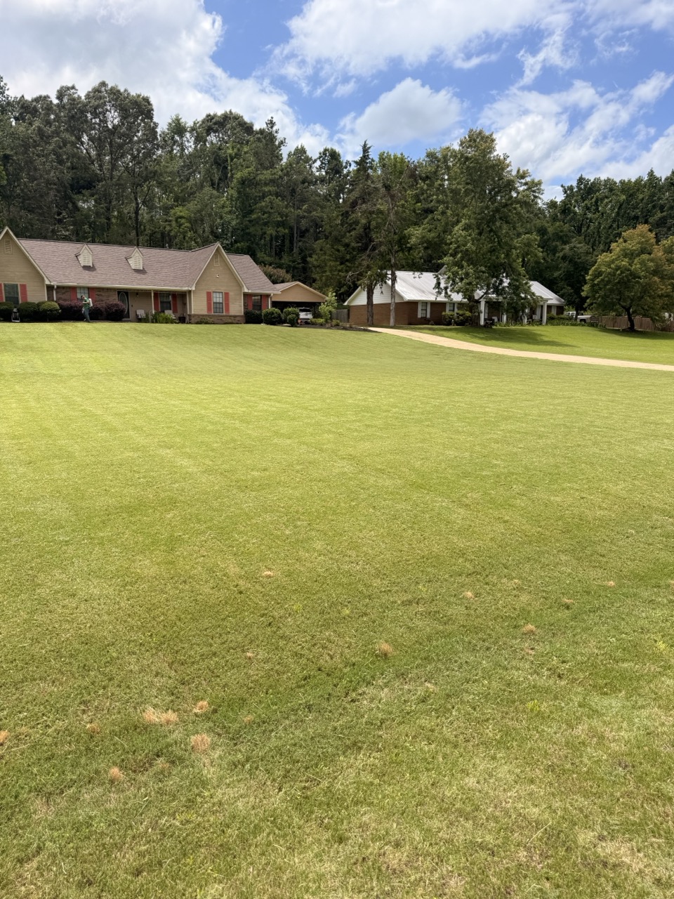 Dependable Lawn Care Services in Meadowview, Oxford MS